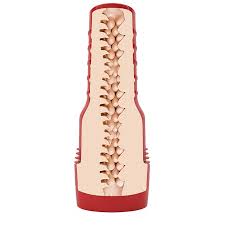 Fleshlight Fantasy Evie Akashiya - реалистичный мастурбатор